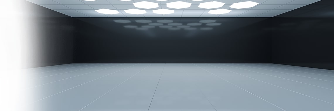 Bison24 Background