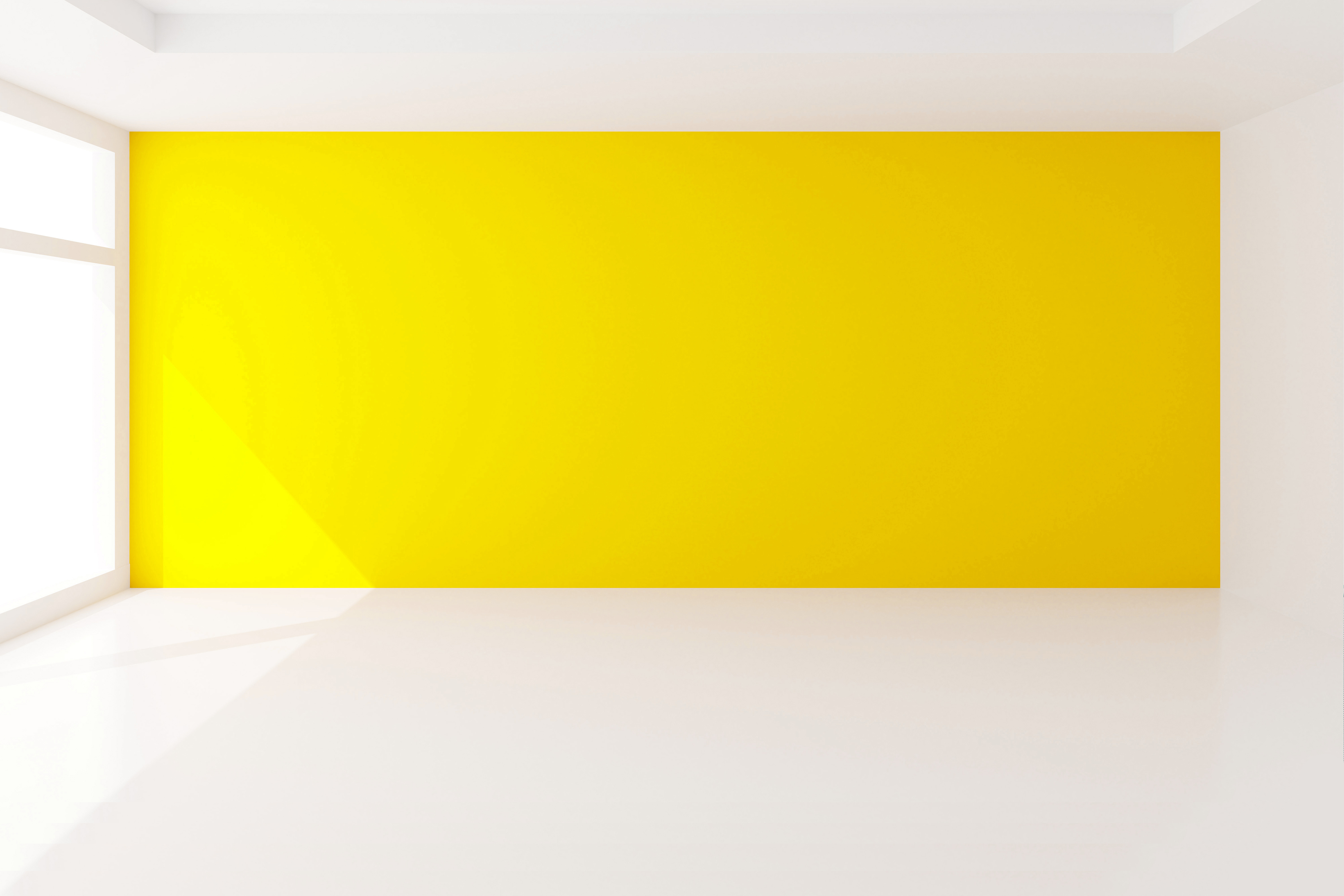 Bison24 Background 16