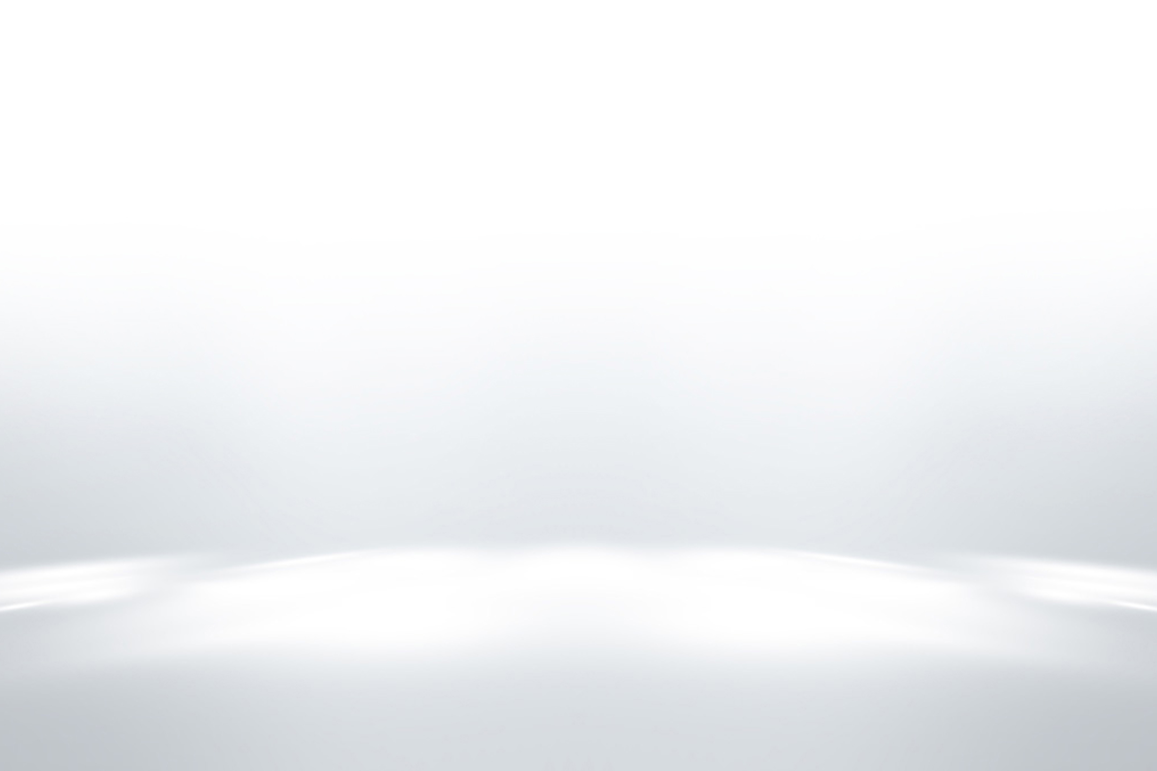 Bison24 Background 2